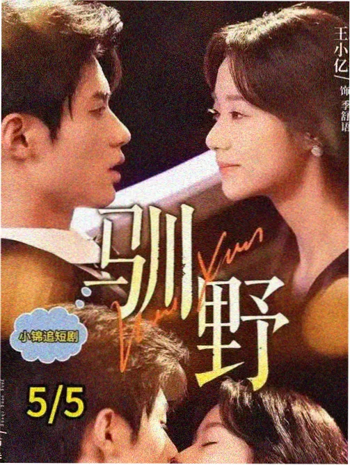 厨房里的经济学都市剧在线观看
